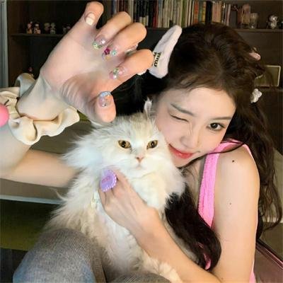 鲨人树儿