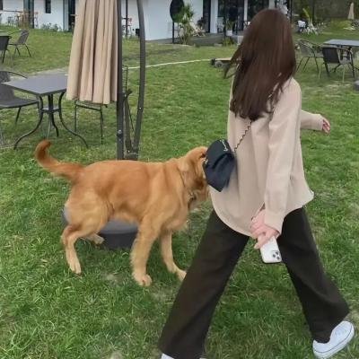 从今天起，世界都是你的